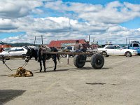IMG_4320