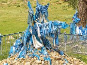 IMG_4123