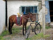 IMG_4296