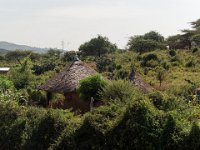 Maisons Oromo près d'Arba