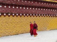 Moines dans le Monastère Thupten Jampaling de Litang