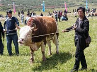 Le candidat d'un village au combat de taureaux