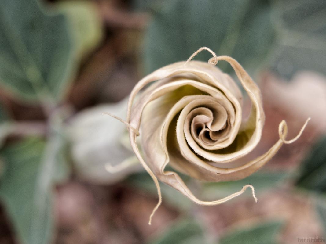 22_usa_1428_kolob-canyons-zion