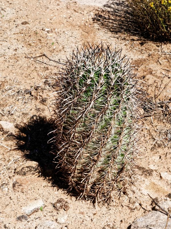 22_usa_820_cortez-hovenweep-museum