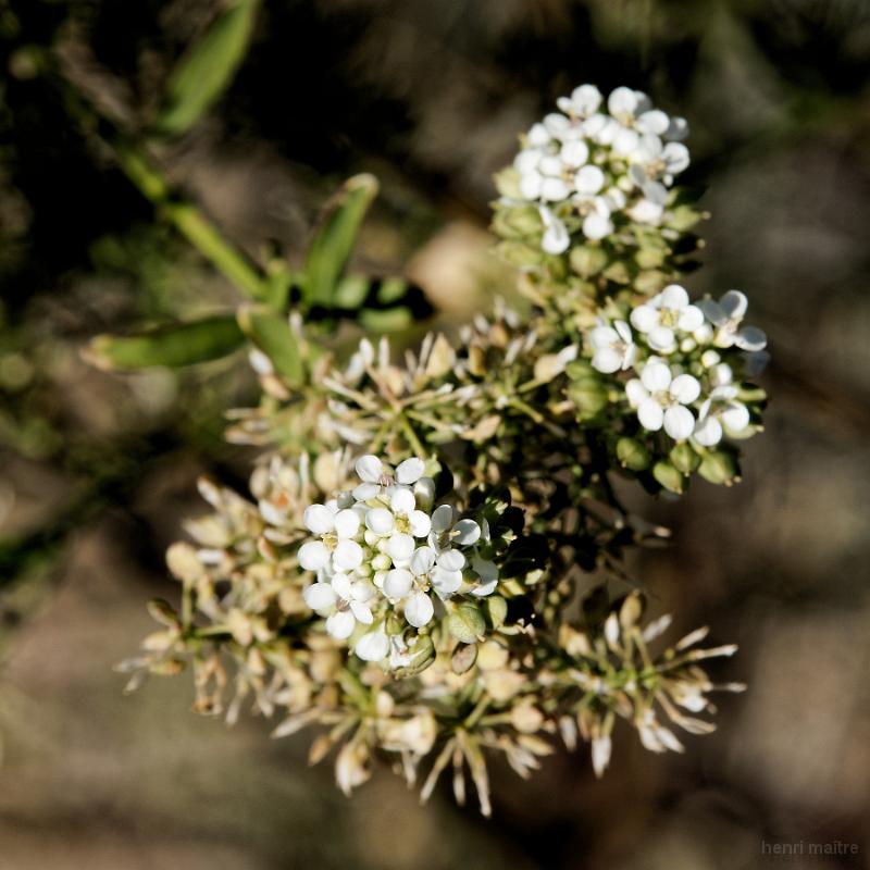 22_usa_837_cortez-hovenweep-museum