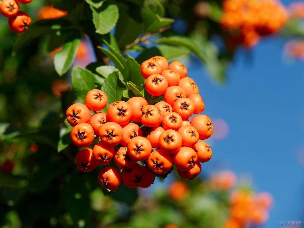 22_usa_839_cortez-escalante-pueblo