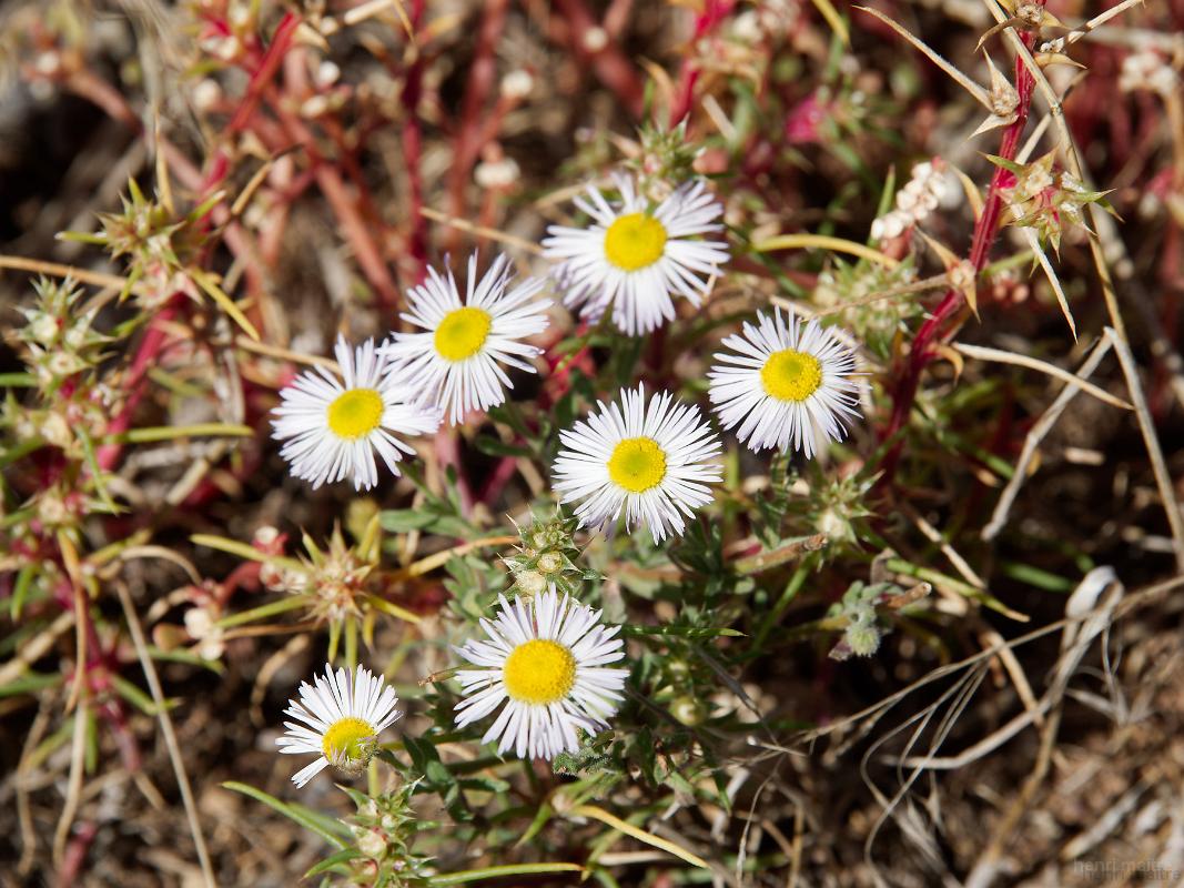 22_usa_916_mesa-verde