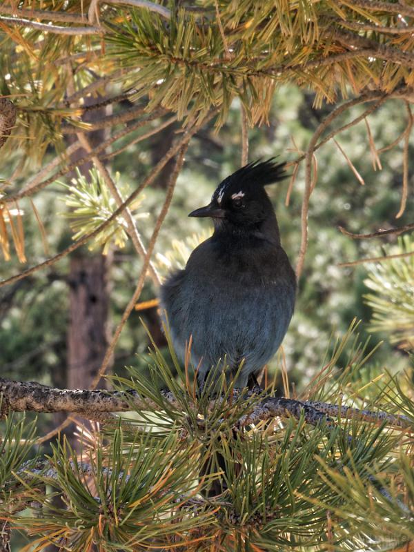 22_usa_1172_bryce-canyon
