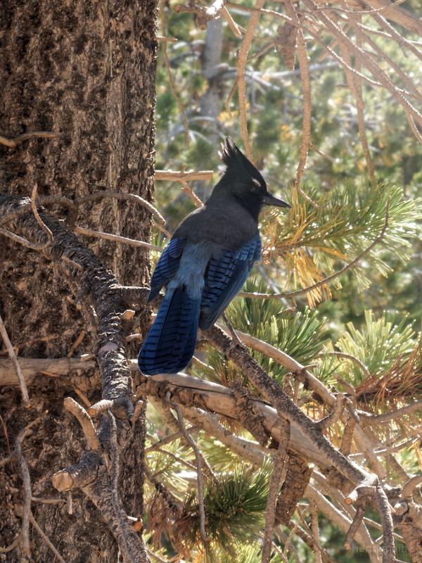 22_usa_1178_bryce-canyon