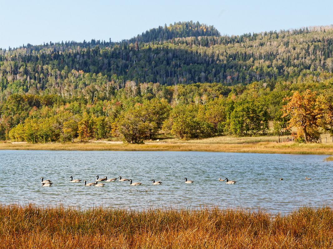 22_usa_1401_de-zion-a-las-vegas