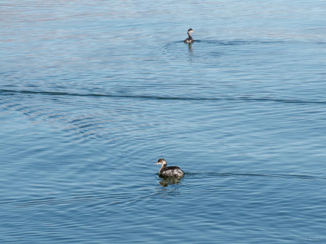 22_usa_1871_mono-lake