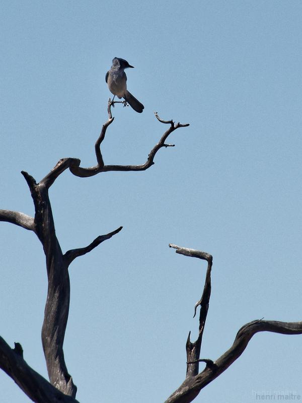 22_usa_906_mesa-verde
